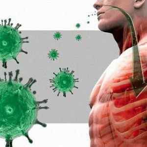 Аденовірусна інфекція у дорослих: симптоми і лікування