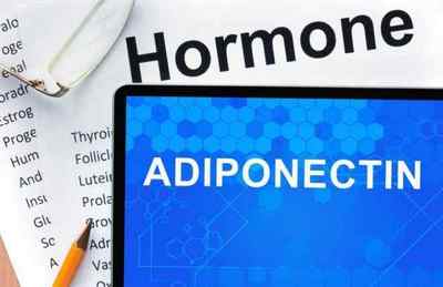 Адипонектин гормон: що це таке і як підвищити