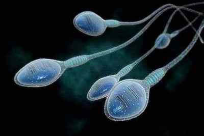Активація сперматозоїдів: обстеження і підвищення активності сперми
