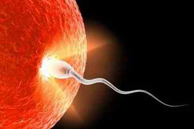 Активація сперматозоїдів: обстеження і підвищення активності сперми