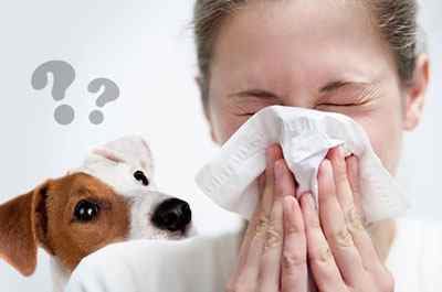 Алергічний синусит: симптоми і лікування