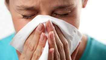 Алергія на пилових кліщів: лікування та профілактика