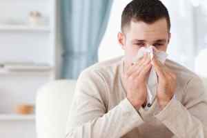 Алергія на шиншил