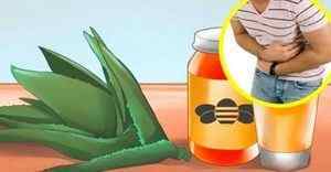 Алое з медом для шлунка: як зробити ліки, рецепти засобів для лікування