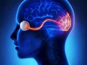 Атрофія зорового нерва (часткова, спадна): лікування, симптоми ураження