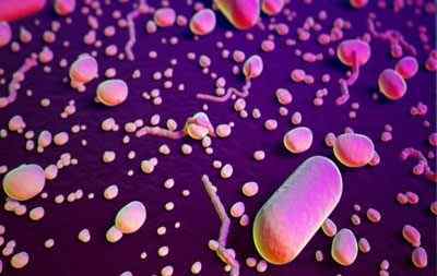 Бактеріальна ангіна у дітей і дорослих: симптоми, лікування