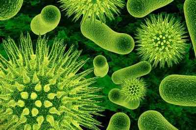 Бактеріальний фарингіт: симптоми і лікування у дорослих і дітей