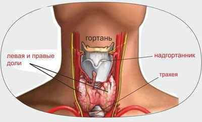 Біль в гортані при ковтанні в області кадика: причини, лікування