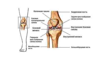 Біль в коліні при згинанні і розгинанні: як і чим лікувати запалення суглоба, що робити якщо болить коліно при ходьбі | Ревматолог