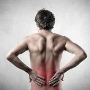 Болить внизу живота і поперек: оперізуючий біль в області шлунка і спини, чому ниє і віддає в ногу після підняття тяжкості | Ревматолог