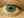 Болотний колір очей: значення, характер людей з очима болотистого кольору