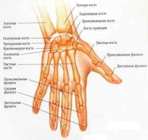 Болять суглоби кисті рук: причини і лікування, що робити, міжфалангові суглоби, хвороби кистей рук і їх лікування, причини | Ревматолог