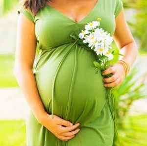 Борний спирт у вухо при вагітності: інструкція із застосування