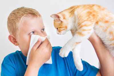 Бронхіальна астма: класифікація за ступенем тяжкості