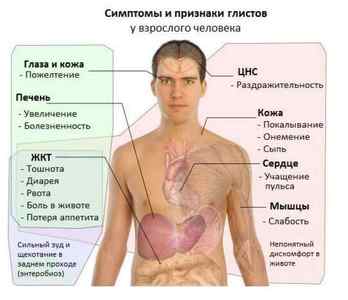 Червоні глисти у людини: фото, симптоми гельмінтів в організмі