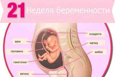 Чи можна вагітним робити флюорографію, які можуть бути наслідки