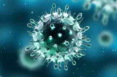 Чим небезпечний ВПЛ 51 типу у чоловіків? Класифікація папіломавірусу