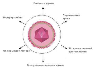 Цитомегаловірус при вагітності: наслідки для плода