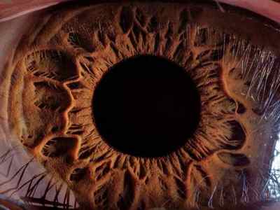 Цікаві факти про очі і зір людини, їх будову та функціонування