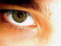 Цікаві факти про очі і зір людини, їх будову та функціонування