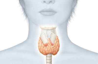 Дифузно вузловий зоб щитовидної залози 1вЂ "2 ступеня: симптоми і лікування