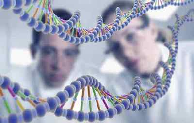 Для чого необхідний тест на генетичну сумісність і як його проводять