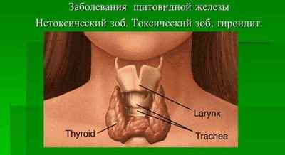 Е2 гормон: що це таке і які функції виконує