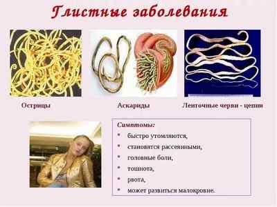 Гельмінти у людини: симптоми, лікування і діагностика паразитів в організмі