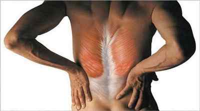 Гіпертонус мязів спини у дорослих: лікування підвищеного тонусу мязів шиї, як зняти гіпертонус мязів обличчя | Ревматолог