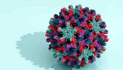 Хронічний вірусний гепатит B: лікування, шляхи передачі