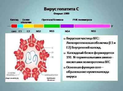 Хронічний вірусний гепатит С: причини, лікування, симптоми