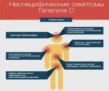Хронічний вірусний гепатит С: причини, лікування, симптоми