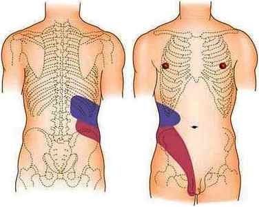 Камені в нирках у чоловіків: причини, симптоми, лікування і дієта