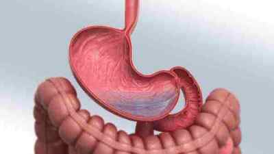 Кандидоз шлунка: причини розвитку та шляхи зараження, симптоми, як лікувати