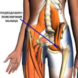 Клубово-поперековий мяз: функції і анатомія, що робити якщо болить, синдром клубово-поперекового мяза, вправи | Ревматолог