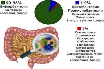Корисні бактерії для кишечника: список препаратів і їх використання