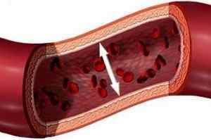 Кровопостачання печінки: особливості, воротная вена, регуляція