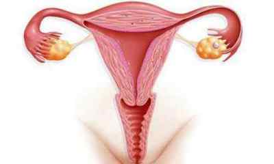Кіста круглої звязки матки: симптоми і методи лікування