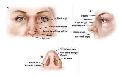 Кіста в носі: причини і особливості лікування
