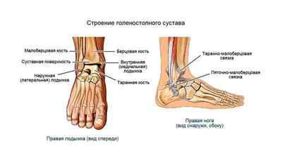 Лікувальна гімнастика для зміцнення стоп (голеностопа): вправи для стопи ніг по Бубновського, як зміцнити і розробити кісточку | Ревматолог