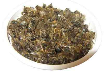 Лікування аденоми простати підмором бджіл: відвари і настоянки
