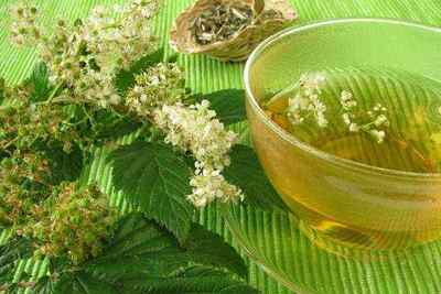 Лікування грижі стравоходу народними засобами: рецепти чаїв, відварів і настоїв, користь овочевих соків