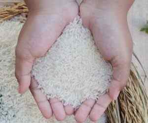 Лікування рисом суглобів: рецепт для очищення від солі, наслідки та протипоказання | Ревматолог