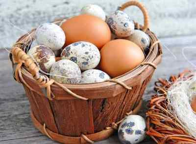 Лікування шлунка перепелиними яйцями: в якій кількості і вигляді вживати