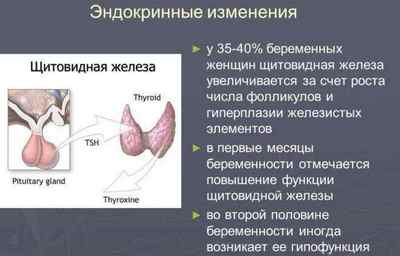 Лікування зменшення щитовидної залози у жінок