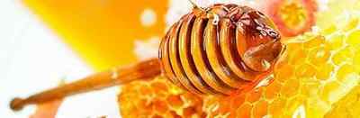 Мед для шлунка і кишечника: який корисний і як вживати, рецепти