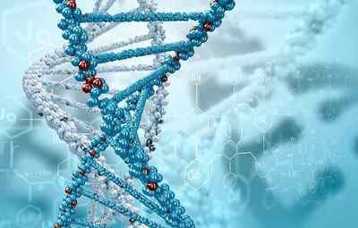 Методи тесту і аналізу на ДНК
