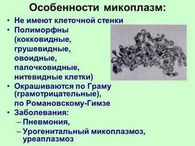 Мікоплазма хомініс (mycoplasma hominis): ДНК, що це значить якщо виявлено