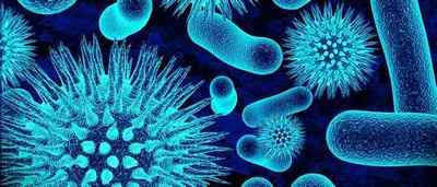 Мікробна (інфекційна) екзема: чим і як лікувати?