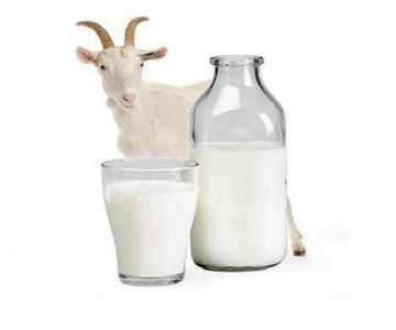 Молоко при гастриті: лікувальні ефекти від вживання, як пити, страви